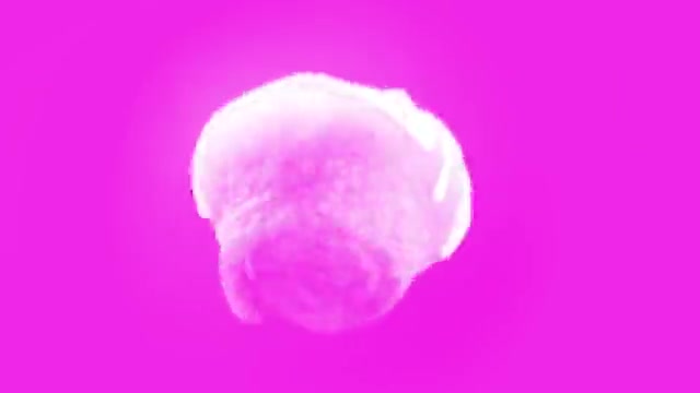 SWEET ROLL FOR FIMMIAN